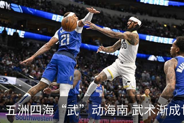 五洲四海“武”动海南 武术渐成世界语言