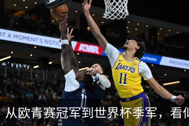 从欧青赛冠军到世界杯季军，看似走了星光大道，一次重伤毁所有