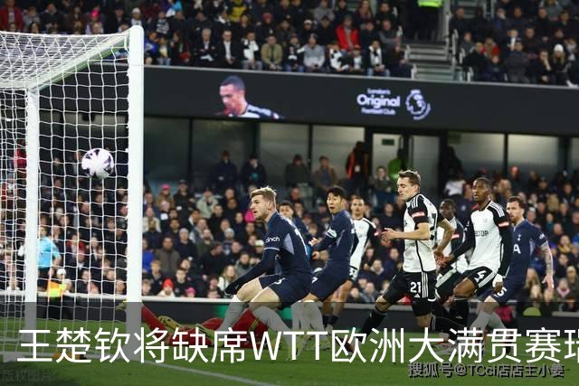 王楚钦将缺席WTT欧洲大满贯赛瑞典站