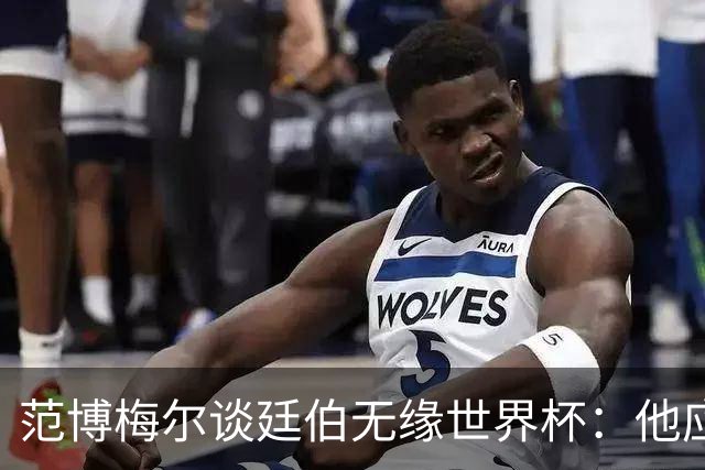 范博梅尔谈廷伯无缘世界杯：他应该立刻去度假，把精力放到下赛季