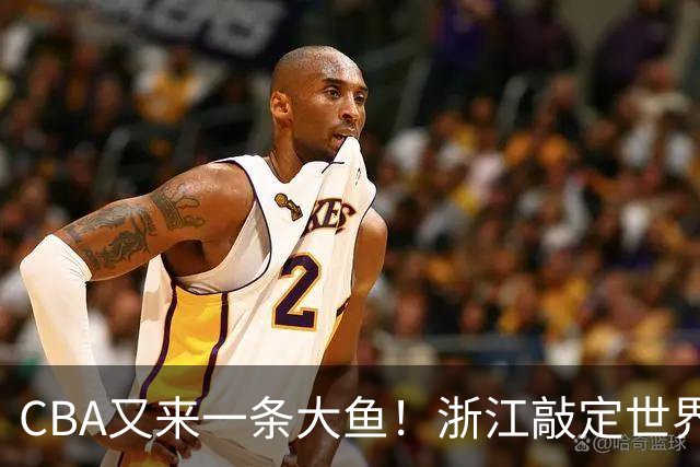 CBA又来一条大鱼！浙江敲定世界杯助攻王，新赛季或掀翻争冠格局